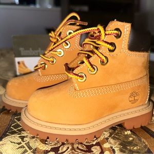 Toddler Timberland Boots